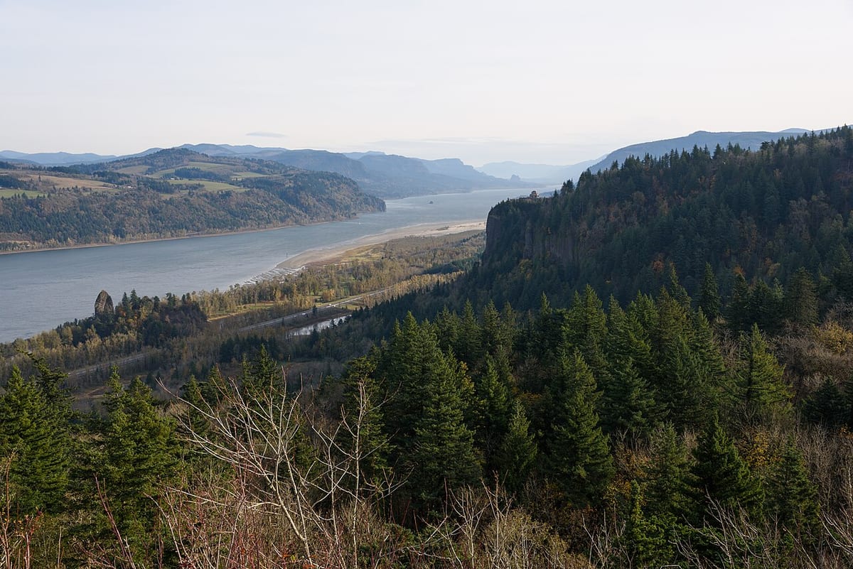 Blick von einer bewaldeten Anhöhe über einen breiten Fluss und die Hügel dahinter
