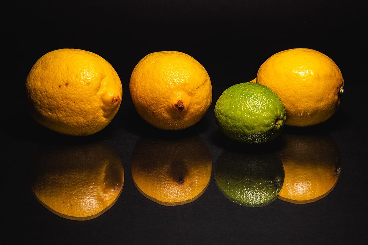 Drei Zitronen und eine Limette auf einer spiegelnden schwarzen Fläche vor dunklem Hintergrund